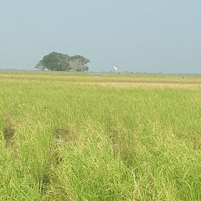 Voyage en Casamance - Secrets du Sénégal